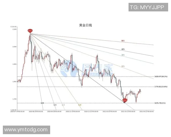 杭州网球队的深度分析与控制策略探讨