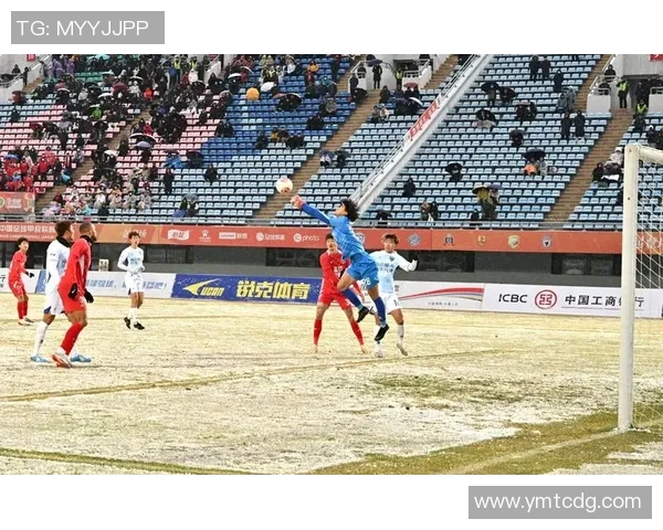 武汉足球队速度表现的数据分析与战术优化研究