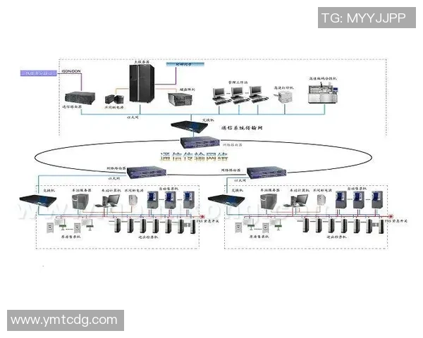 深入分析上海排球队的运营策略与发展模式探讨