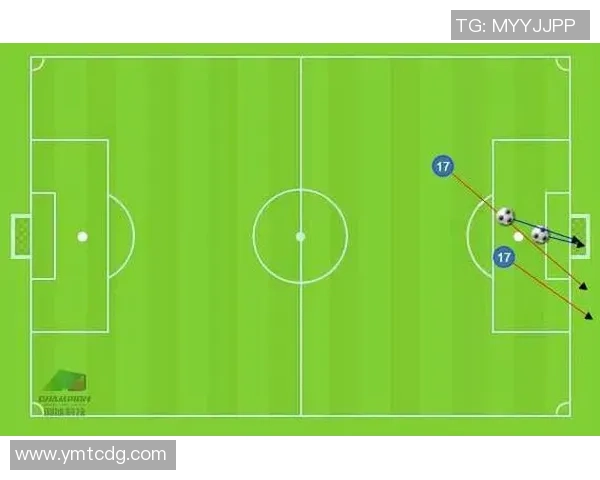 西安排球队如何通过战术创新实现进攻效率的全面提升与变革分析