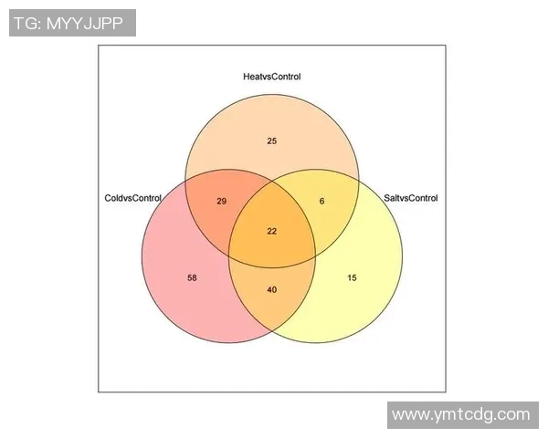 数据分析：IG的技术表现