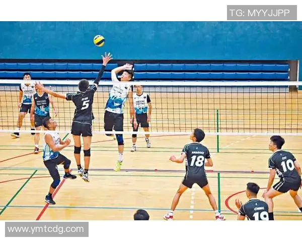 2026排球灵活性排名：武汉排球队创新高